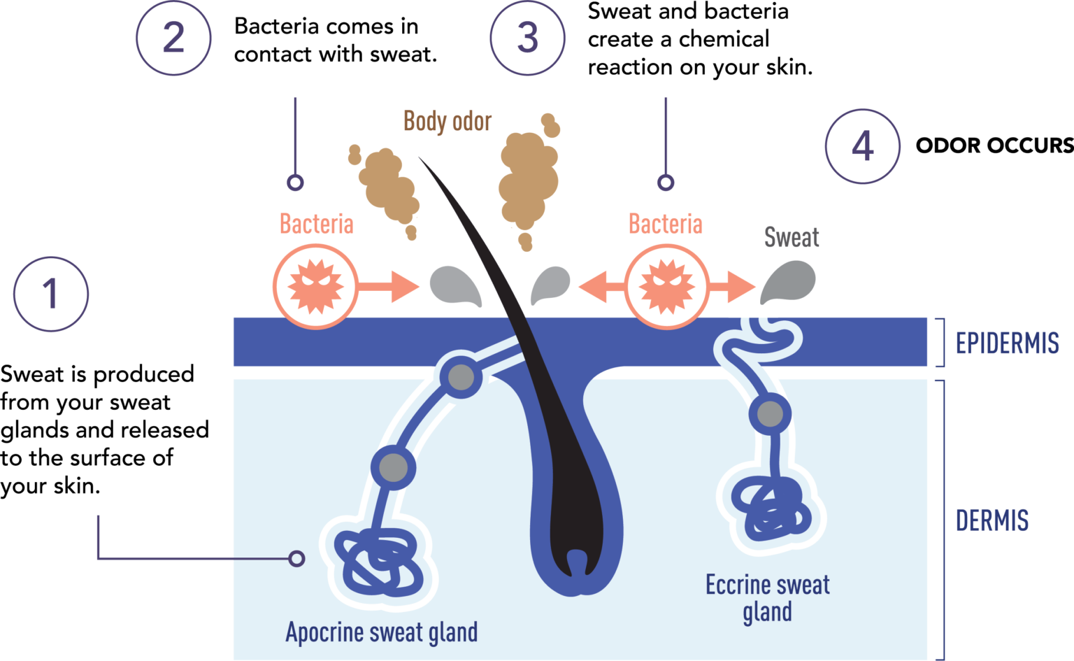 Excessive Odor miraDry